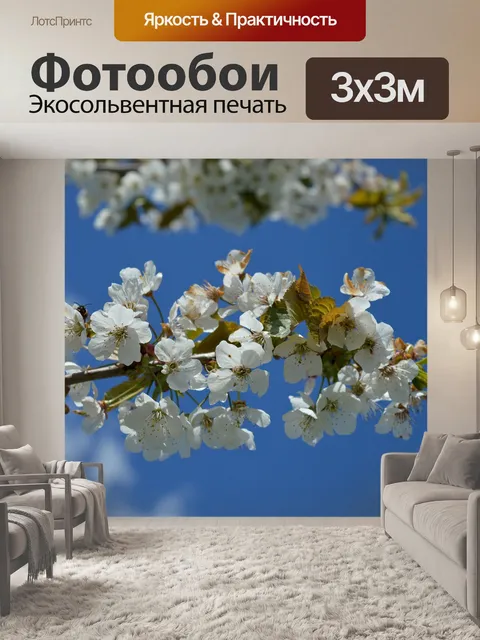 Фотообои Вишни в цвету