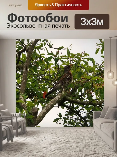 Фотообои Птица