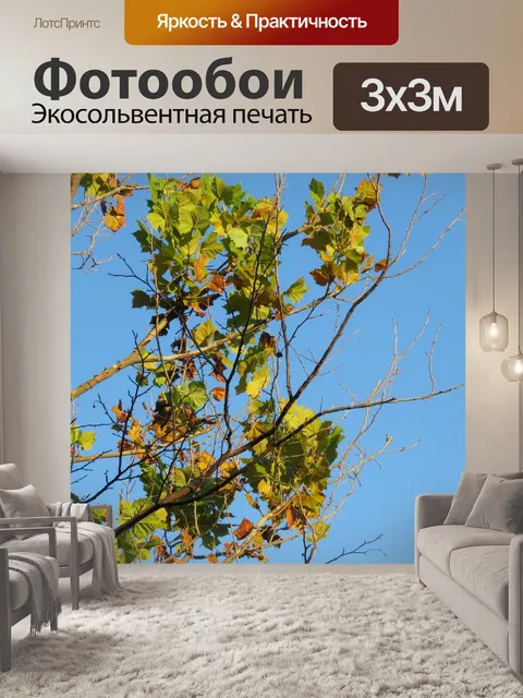 Фотообои Ветви