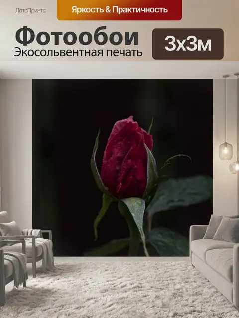 Фотообои Блум