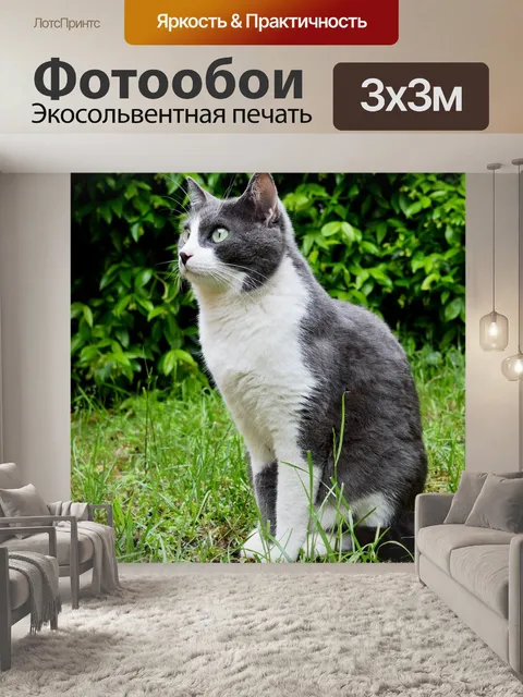 Фотообои Милый