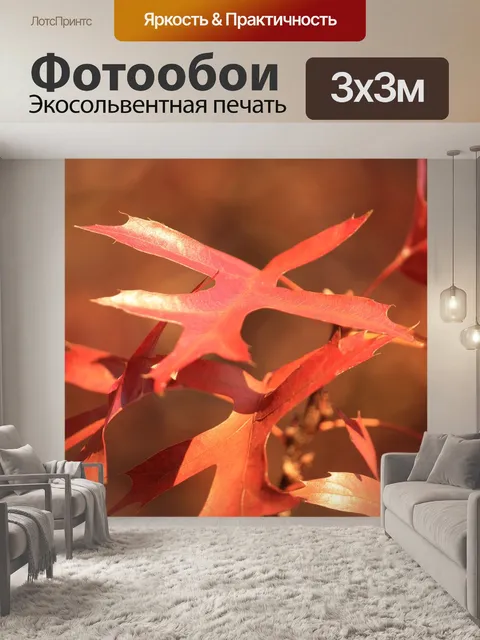 Фотообои Листья