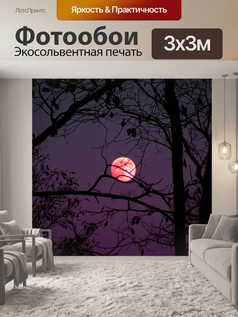 Фотообои Луна