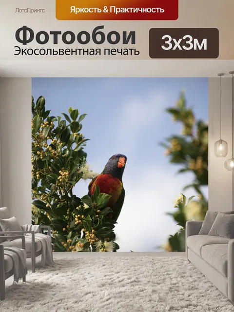 Фотообои Птица