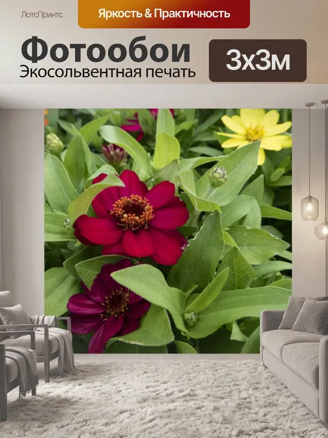 Фотообои Глубоко красные цветы растут