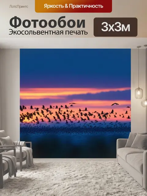 Фотообои птицы, взлетающие при рассвете
