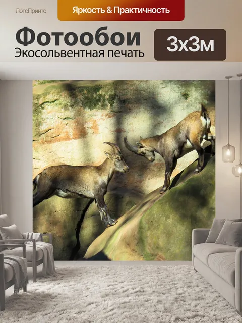 Фотообои Животное