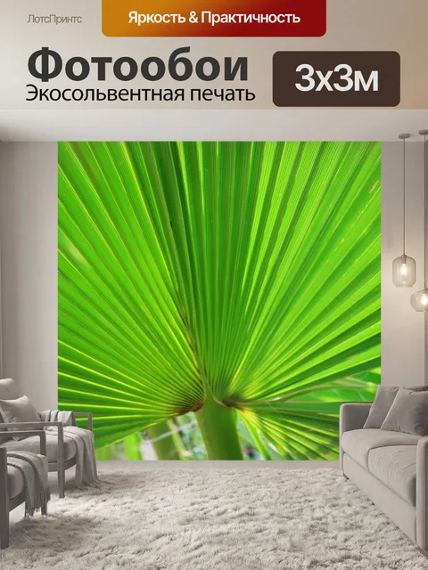 Фотообои вентилятор листьев пальмы