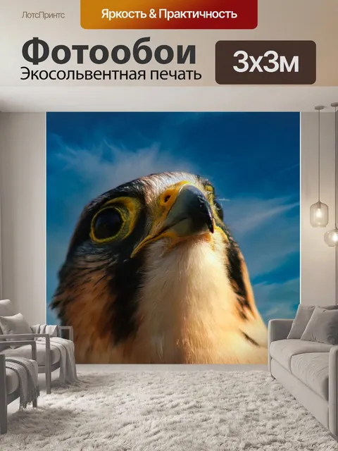 Фотообои Птица