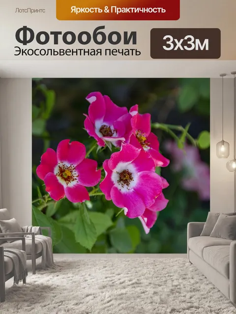 Фотообои сладкие розы