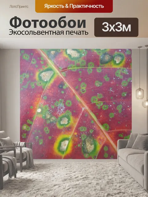 Фотообои Лист