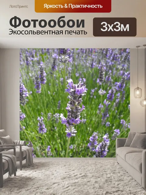 Фотообои Лаванда