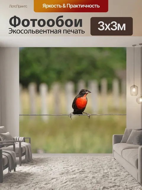 Фотообои Птица птицы