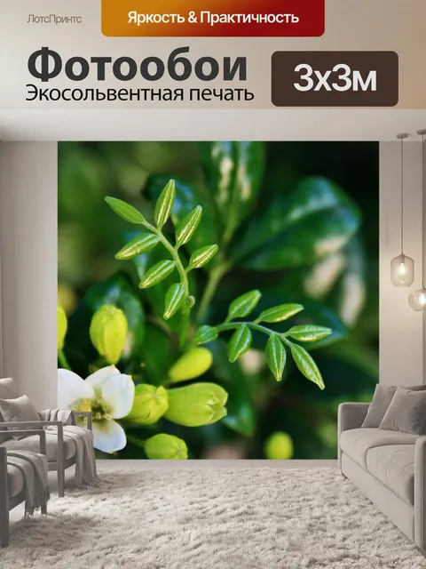 Фотообои делайте новые Exotica листья