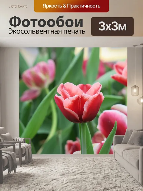 Фотообои Тюльпаны