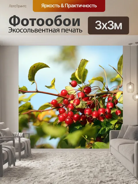 Фотообои Дерево