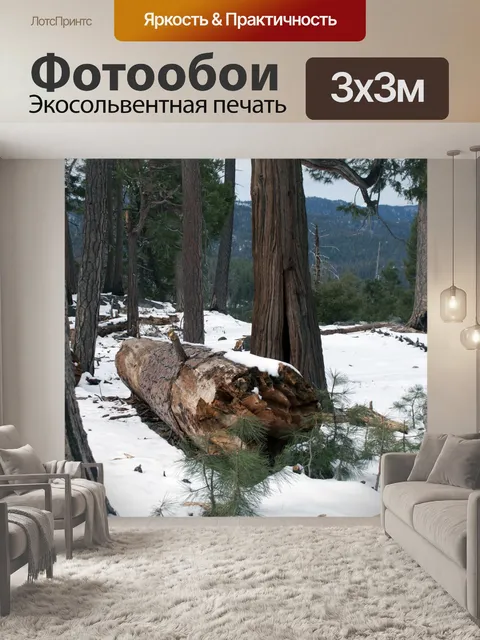 Фотообои Вход Лесной снег
