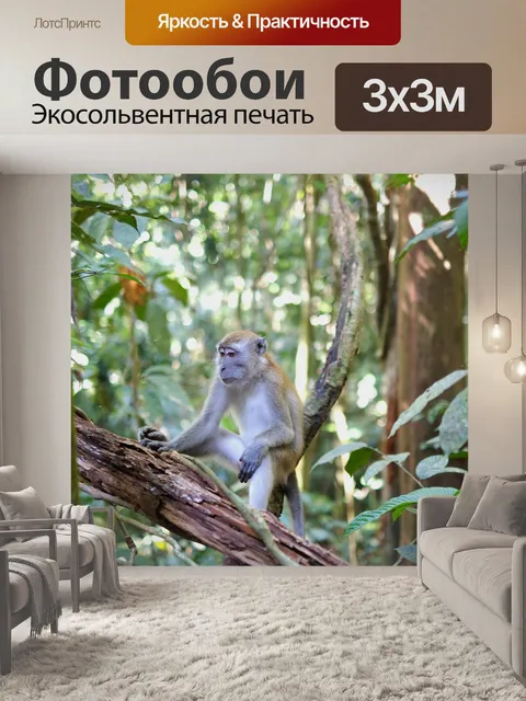 Фотообои Животное