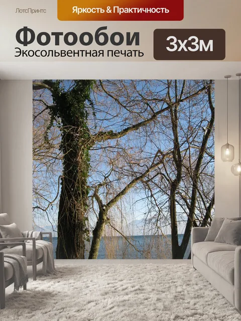 Фотообои Озеро