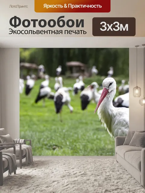 Фотообои Аист