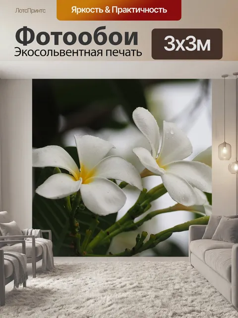 Фотообои Цветок