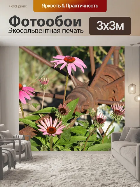 Фотообои Розовые Coneflowers и Rusty Wheel