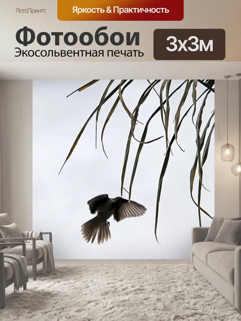 Фотообои Птица