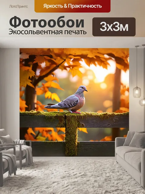 Фотообои реалистичное изображение одинокого голубя