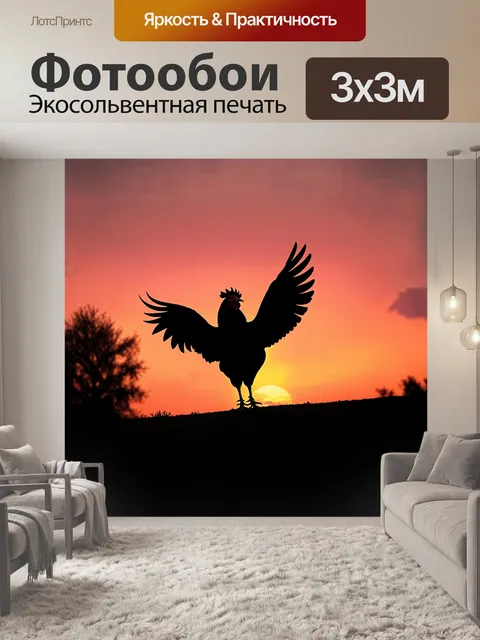 Фотообои петух, смело расправляющий свои крылья на фоне вечернего заката, который окрашивает небо в яркие оттенки…