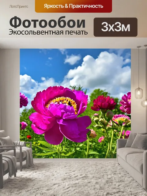 Фотообои пионы, растущие в поле, с другими цветами в окружении, под солнечным небом с легкими облаками