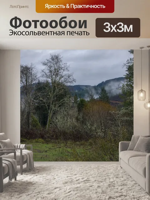 Фотообои Зимняя Деревня