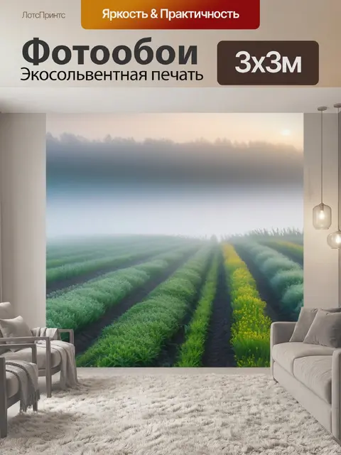 Фотообои цветущие поля в тумане утром