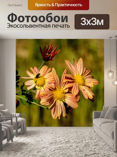 Фотообои Цветок