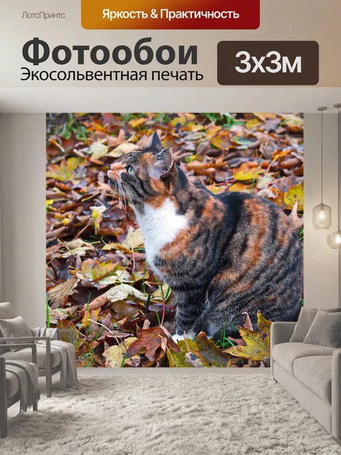 Фотообои Кошка