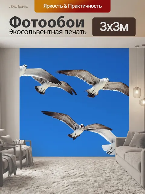 Фотообои Птицы