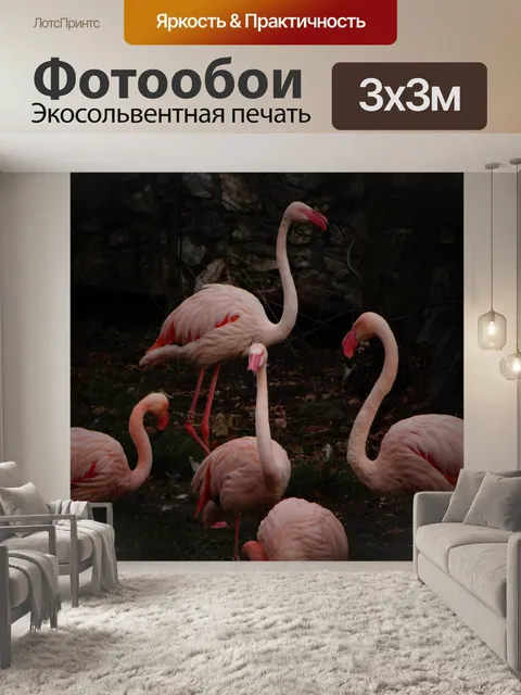 Фотообои Фламинго
