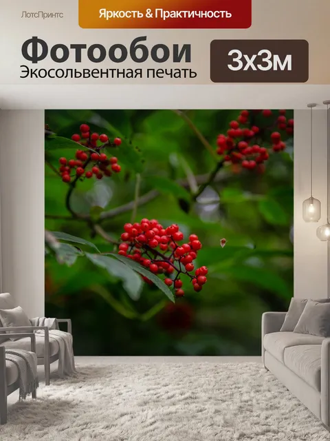 Фотообои Макрос