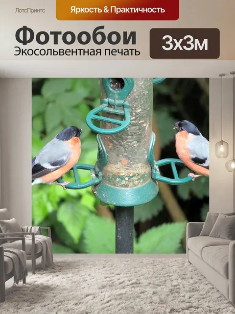 Фотообои Птица