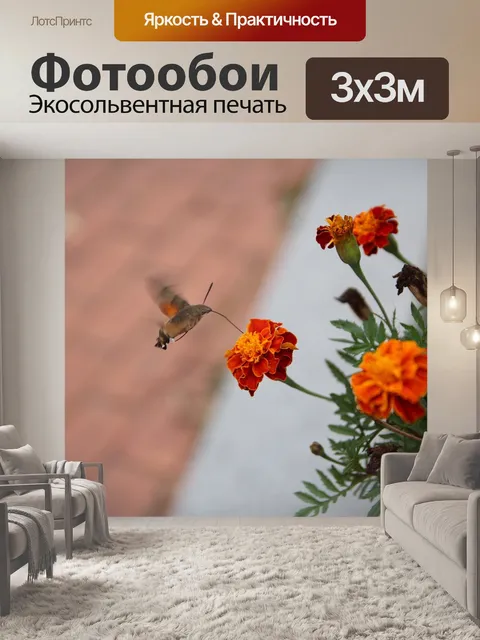 Фотообои Цветок