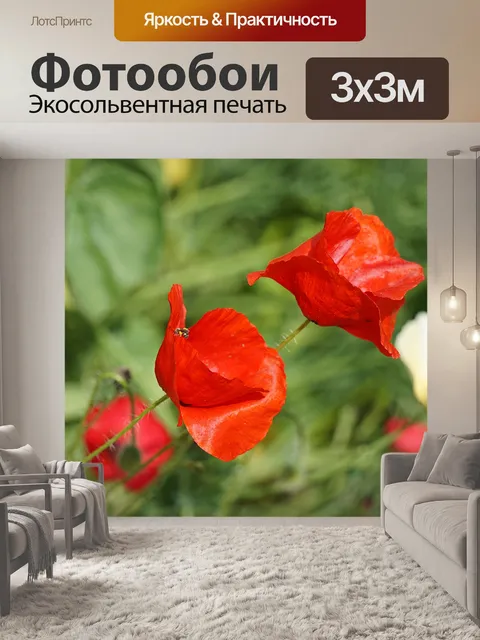 Фотообои Маковые цветы