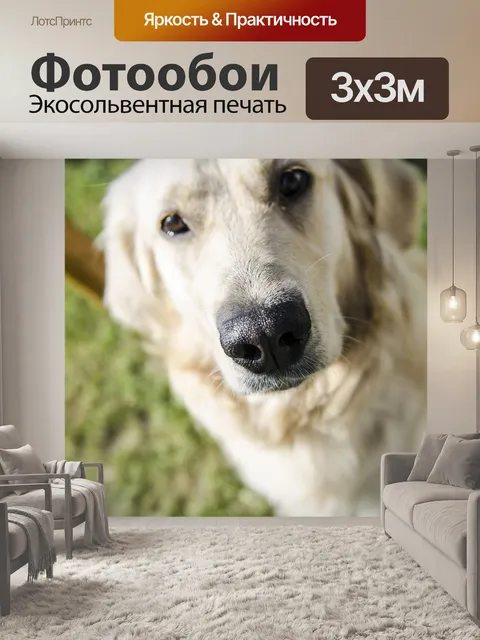 Фотообои Золотой