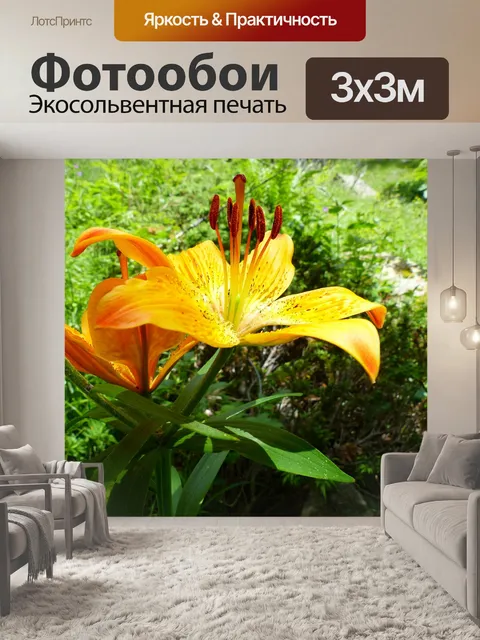 Фотообои Цветы