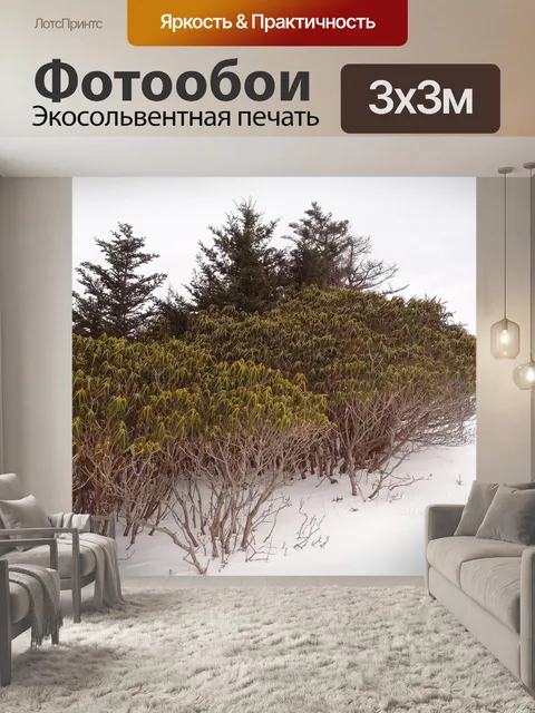 Фотообои Горы роан