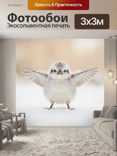 Фотообои Маленькая белая птичка
