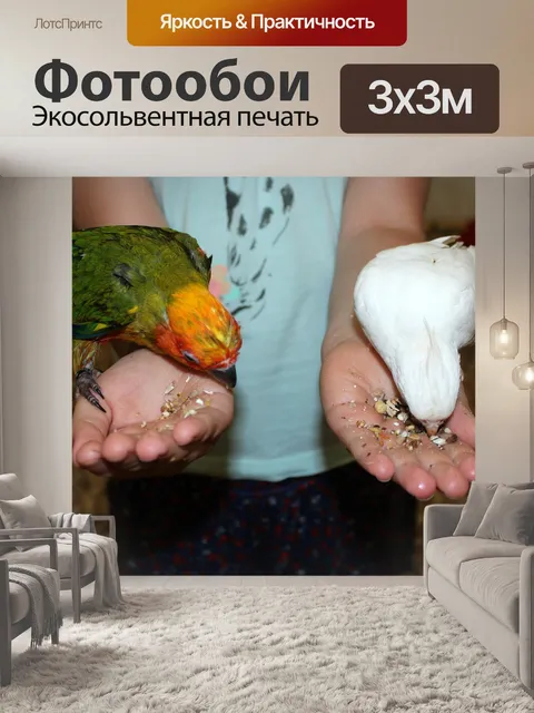 Фотообои Попугаи