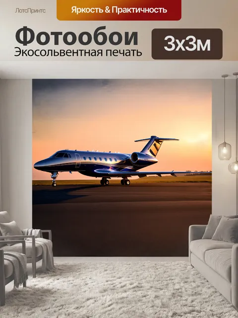 Фотообои стремительный современный бизнес-джет