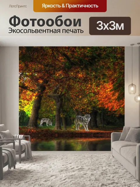 Фотообои Цвета осени
