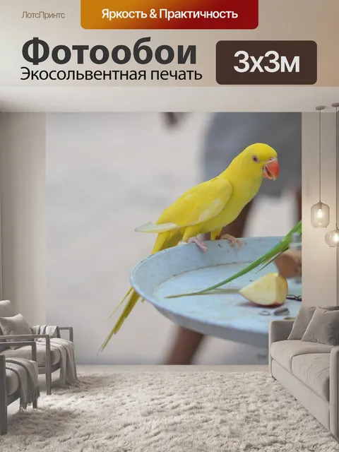 Фотообои Птица