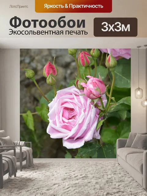 Фотообои Цветы