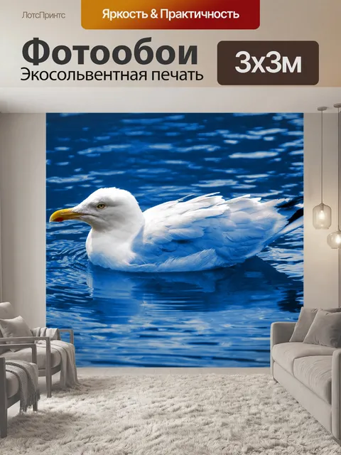 Фотообои плавающая чайка